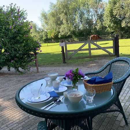 Luxury Guest House - Eik Aan De Dijk Aalst Eksteriør billede