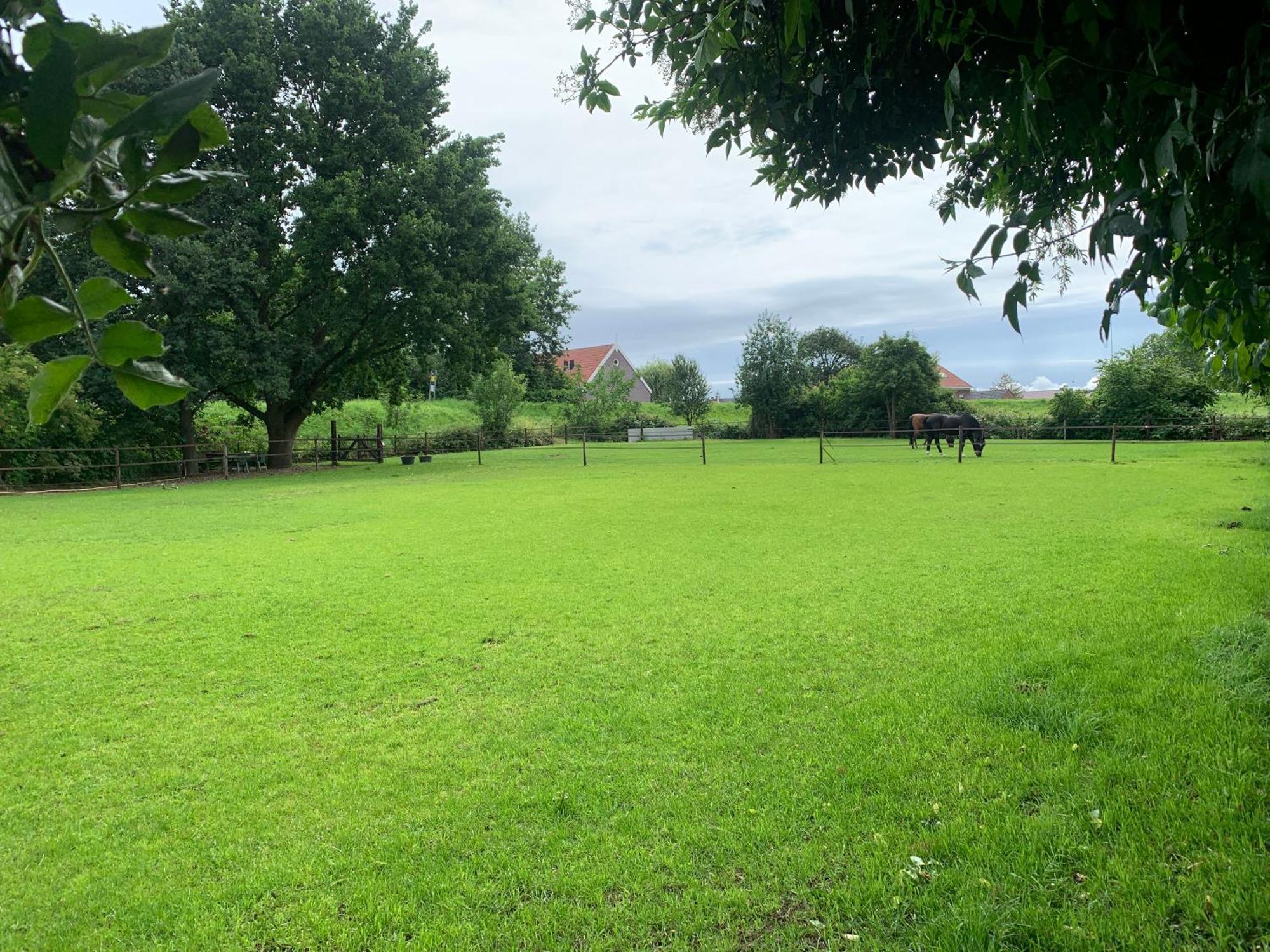 Luxury Guest House - Eik Aan De Dijk Aalst Eksteriør billede