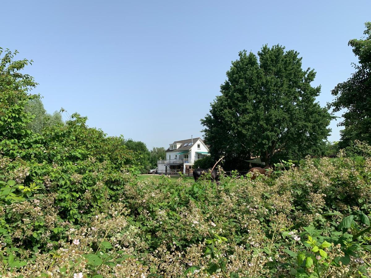 Luxury Guest House - Eik Aan De Dijk Aalst Eksteriør billede